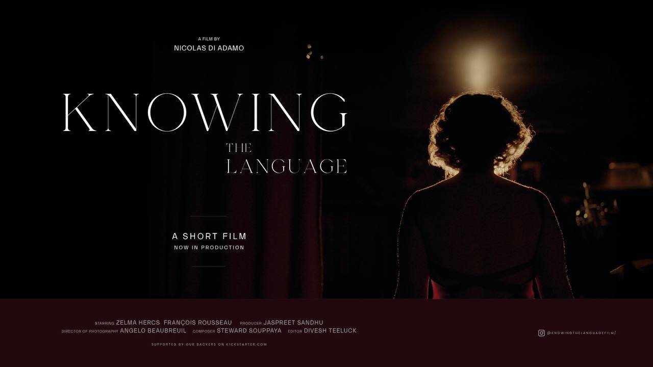 Affiche du film Knowing the Language